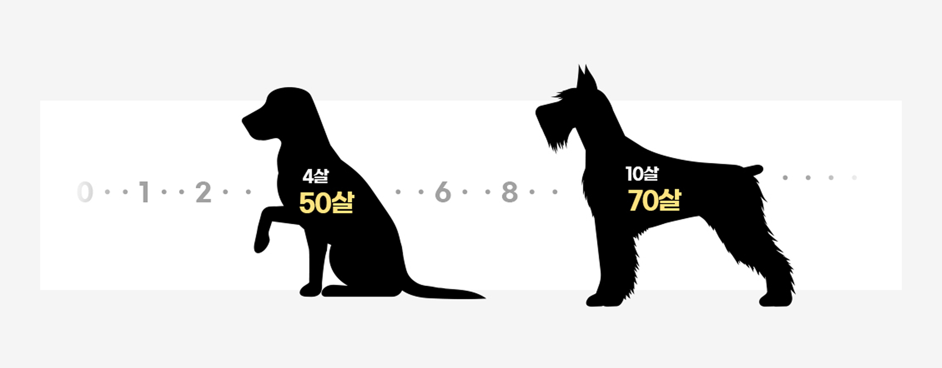 반려동물 수명