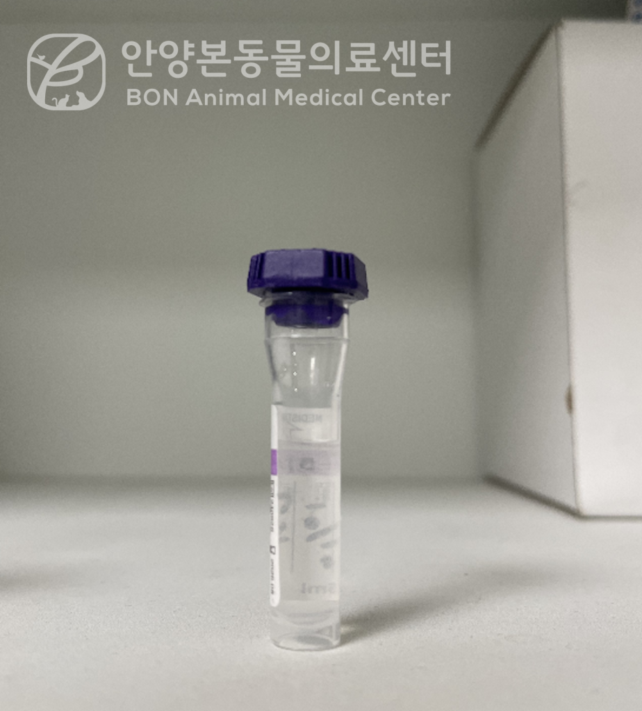 강아지 발작, 뇌수두증 환자 뇌척수액 검사 CSF검사